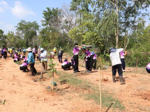 โครงการกิจกรรมวันต้นไม้ประจำปีของชาติ ประจำปีงบประมาณ ๒๕๖๖