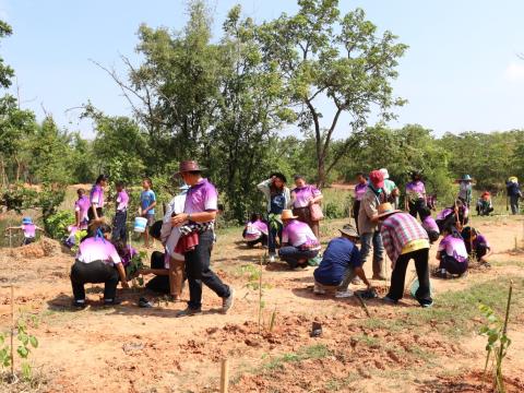 โครงการกิจกรรมวันต้นไม้ประจำปีของชาติ ประจำปีงบประมาณ ๒๕๖๖