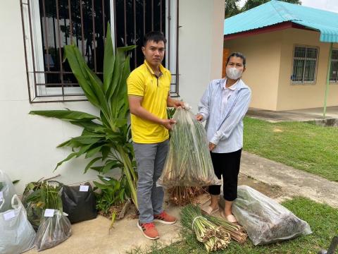 การเก็บรวบรวมสมุนไพรเพื่อเป็นแหล่งเรียนรู้และขยายพันธุ์ ตามโครงการ 1 อปท. 1 สวนสมุนไพร เฉลิมพระเกียรติพระบาทสมเด็จพระเจ้าอยู่หัว เนื่องในโอกาสวันเฉลิมพระชนมพรรษา 28 กรกฎาคม 2566 วันที่ 30 พฤษภาคม 2566