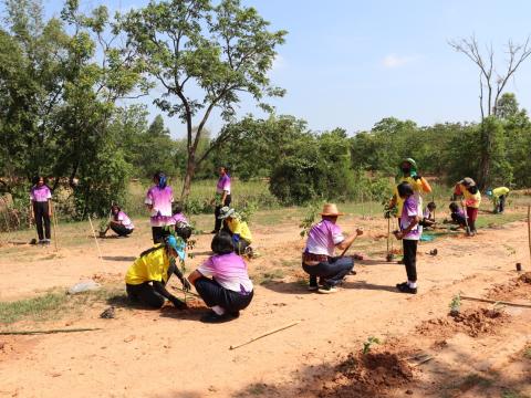 โครงการกิจกรรมวันต้นไม้ประจำปีของชาติ ประจำปีงบประมาณ ๒๕๖๖