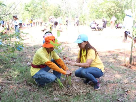 โครงการกิจกรรมวันต้นไม้ประจำปีของชาติ ประจำปีงบประมาณ ๒๕๖๖