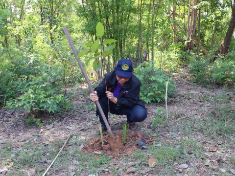 โครงการกิจกรรมวันต้นไม้ประจำปีของชาติ ประจำปีงบประมาณ ๒๕๖๖