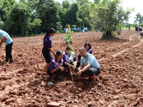 โครงการปลูกป่าเฉลิมพระเกียรติสมเด็จพระนางเจ้าสิริกิติ์ พระบรมราชินีนาถ พระบรมราชชนนีพันปีหลวง ประจำปีงบประมาณ ๒๕๖๗