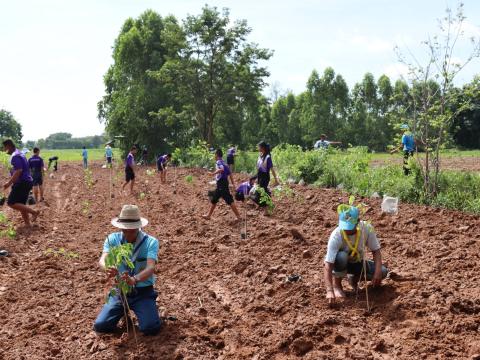 โครงการปลูกป่าเฉลิมพระเกียรติสมเด็จพระนางเจ้าสิริกิติ์ พระบรมราชินีนาถ พระบรมราชชนนีพันปีหลวง ประจำปีงบประมาณ ๒๕๖๗