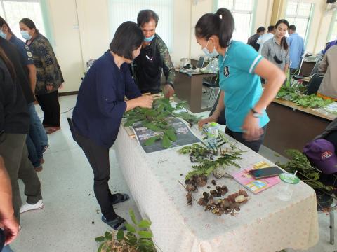 โครงการอนุรักษ์พันธุกรรมพืชอันเนื่องมาจากพระราชดำริสมเด็จพระเทพร