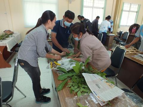 โครงการอนุรักษ์พันธุกรรมพืชอันเนื่องมาจากพระราชดำริสมเด็จพระเทพร