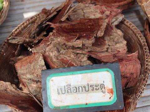 โครงการอบรมและศึกษาดูงานเพิ่มศักยภาพการดำเนินงานอันเนื่องมาจากพระราชดำริปรัชญาเศรษฐกิจพอเพียง ประจำปีงบประมาณ 2568 วันอังคารที่ 15 เดือน กรกฎาคม พ.ศ. 2568