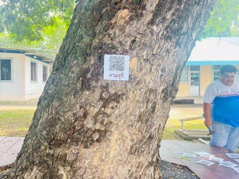 โครงการอนุรักษ์พันธุกรรมพืชอันเนื่องมาจากพระราชดำริ สมเด็จพระเทพรัตนราชสุดาฯ สยามบรมราชกุมารี (อพ.สธ.) ประจำปีงบประมาณ 2568 วันศุกร์ที่ 29 เดือน สิงหาคม พ.ศ. 2568